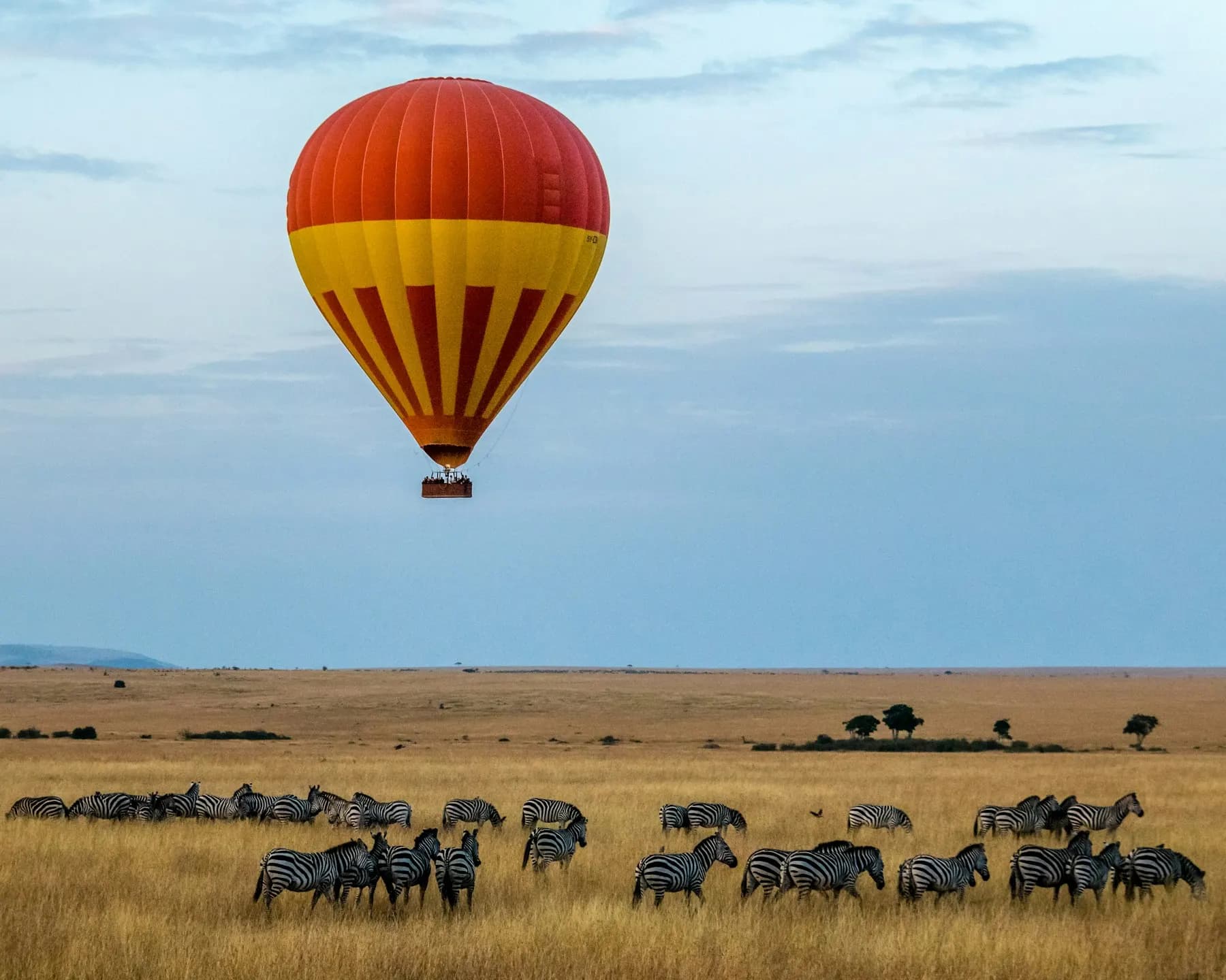 A hot air balloon above open grassland and wildlife