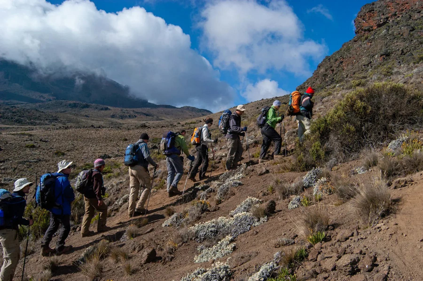 Trekkers following a trail through Kilimanjaro’s heather landscape
