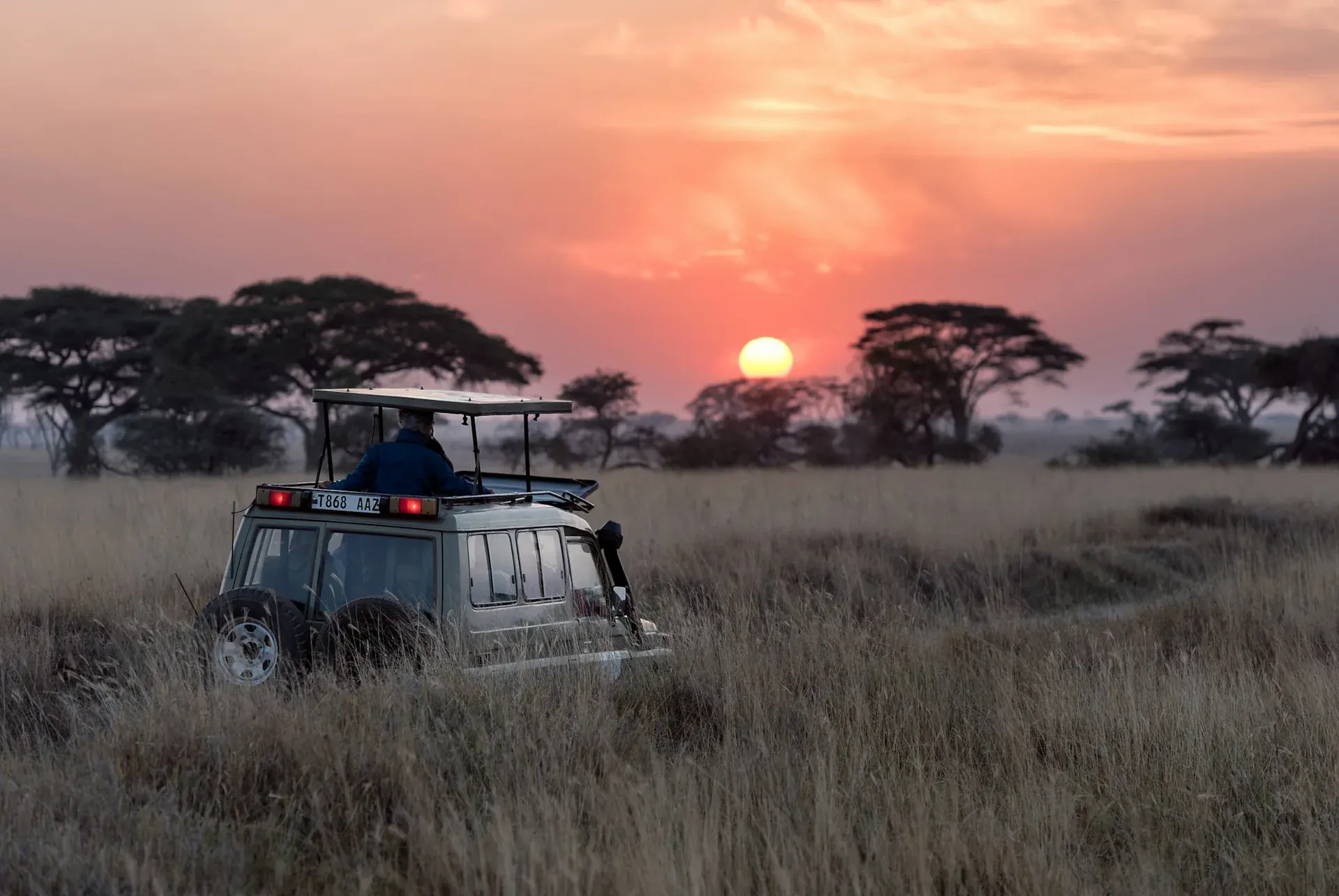 A safari vehicle among acacia trees at sunset